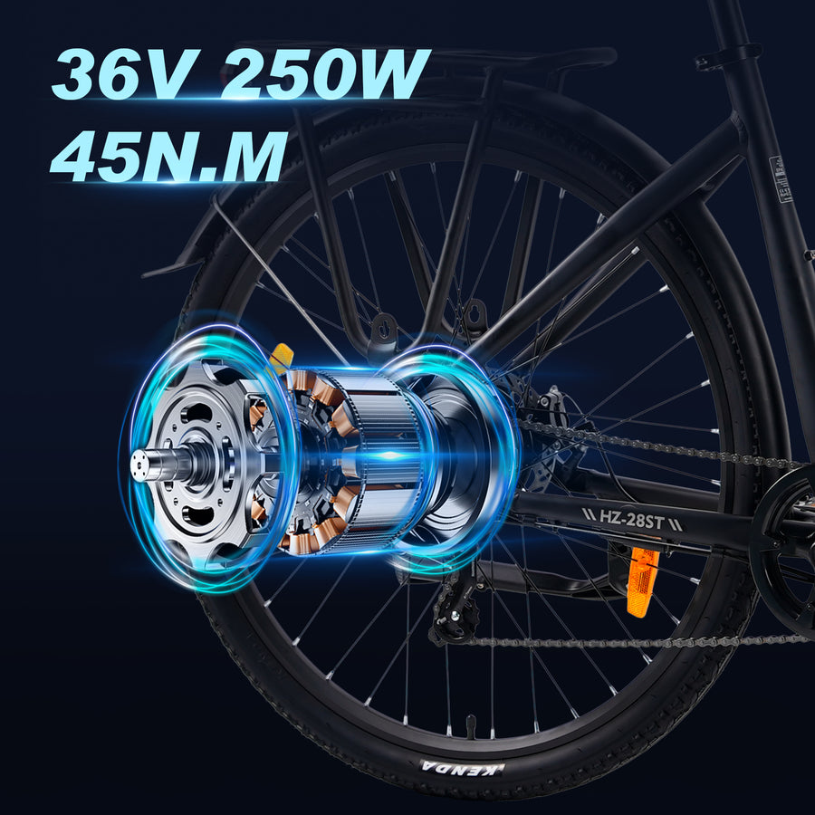 250W Brushless Motor